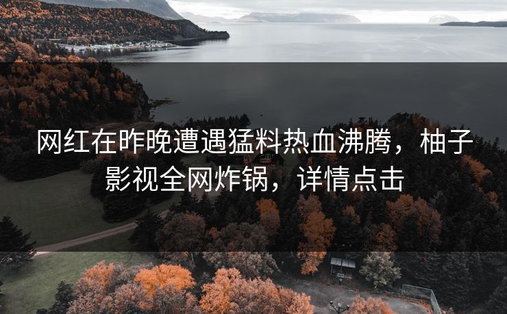 网红在昨晚遭遇猛料热血沸腾,柚子影视全网炸锅,详情点击 网红在昨晚遭遇猛料热血沸腾,柚子影视全网炸锅,详情点击