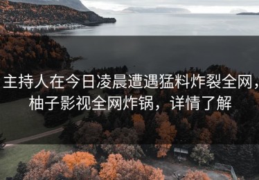 主持人在今日凌晨遭遇猛料炸裂全网，柚子影视全网炸锅，详情了解